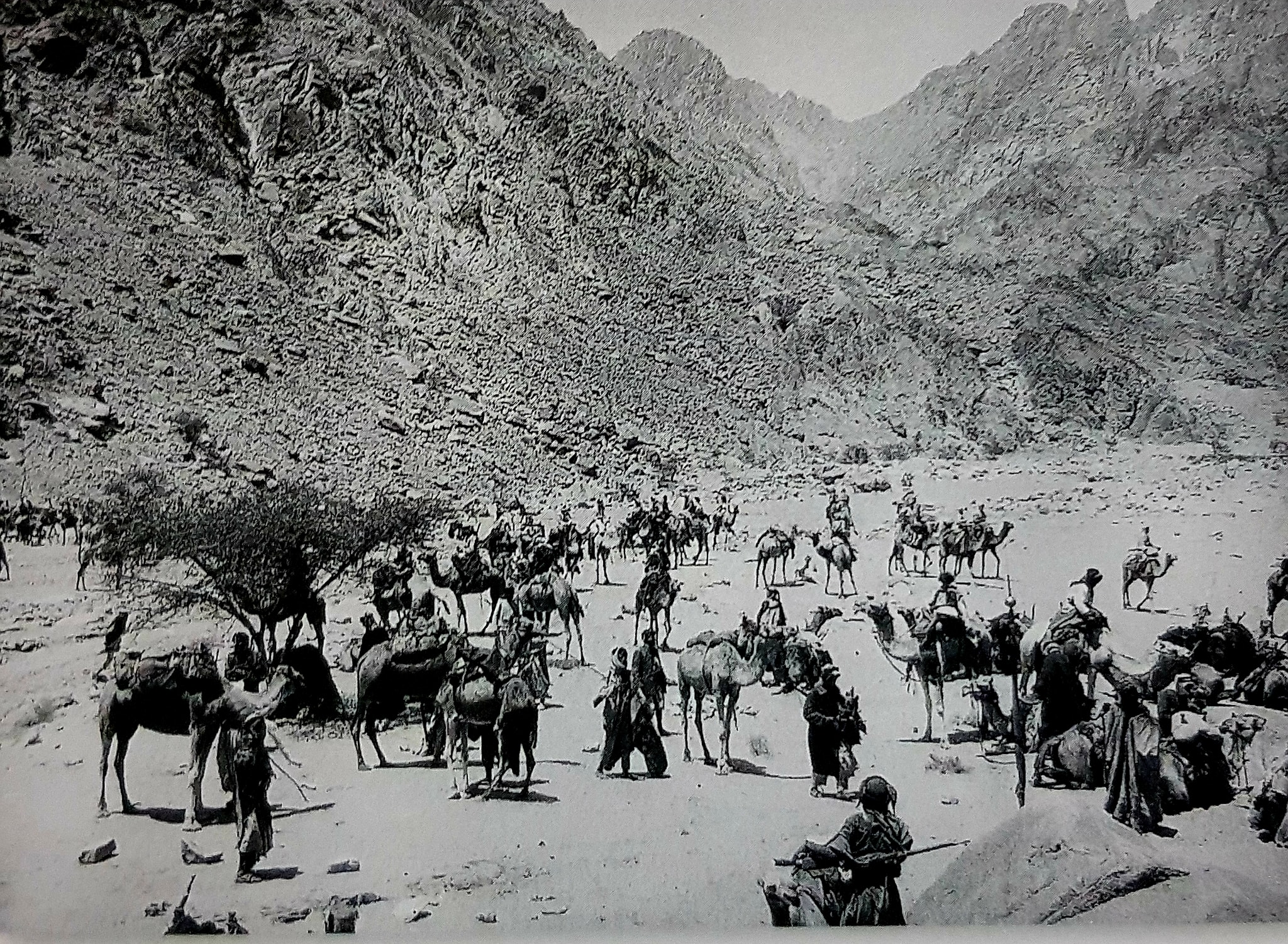 Semua Suku Bisa Disuap! Kisah Pilu Menjelang Tergusurnya Turki Utsmani dari Hijaz, Palestina, hingga Suriah