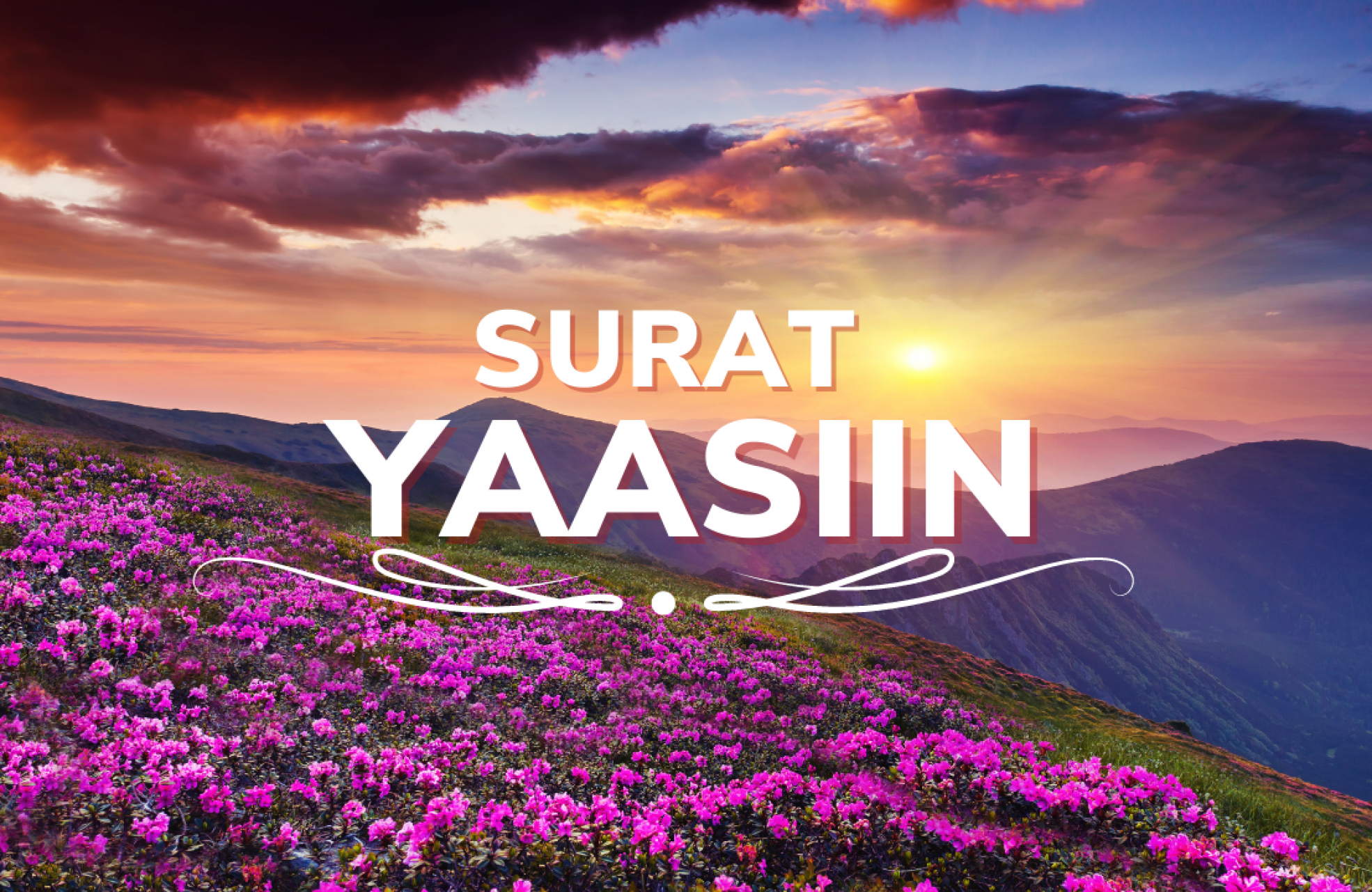 murottal surat yasin