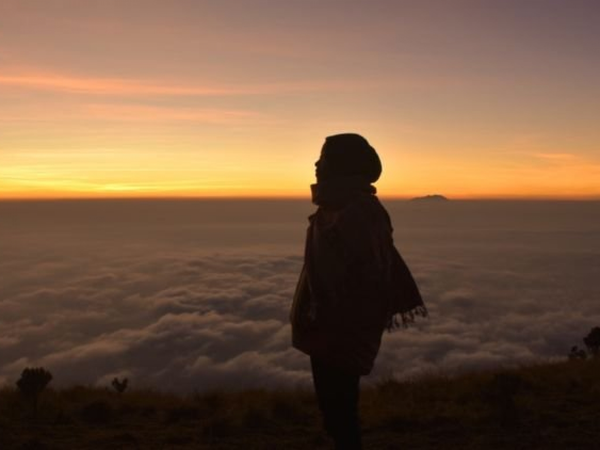 wanita hijrah