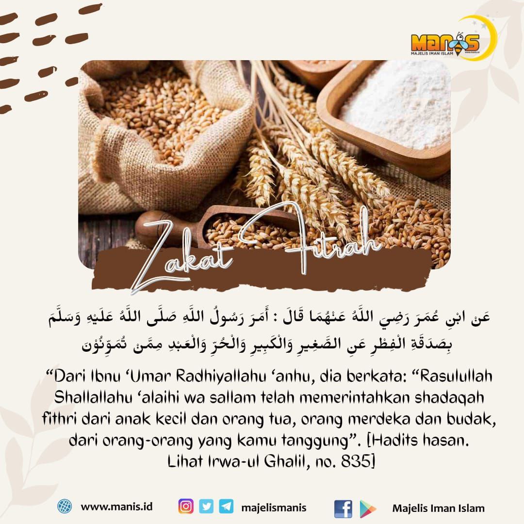 Hukum Zakat Fitrah Untuk Bayi