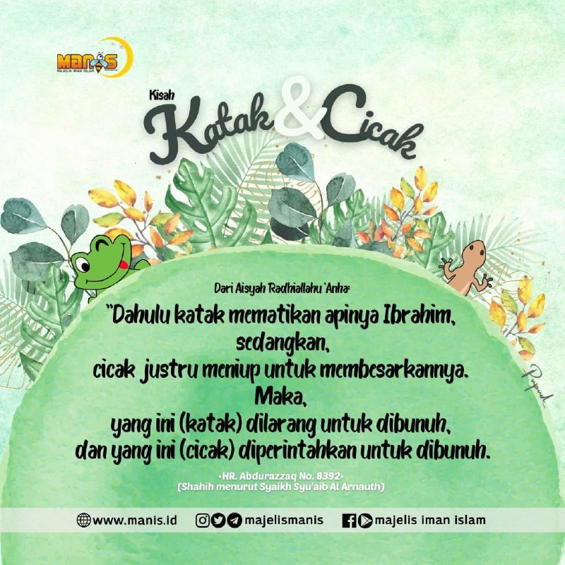 Anjuran Membunuh Cicak