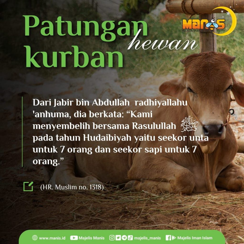 Berqurban Atas Nama Seseorang Bukan Kelompok/Lembaga