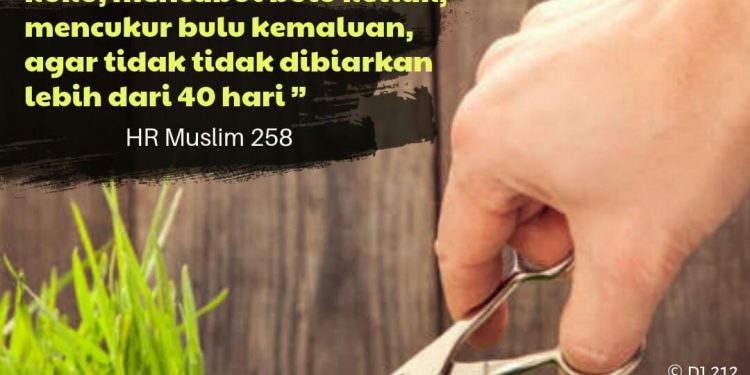 Mencukur Bulu Kaki